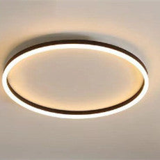 Romantic Personalized Ceiling Light – Study & Home Decor